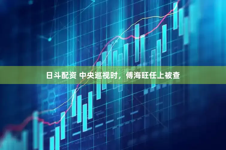 日斗配资 中央巡视时，傅海旺任上被查