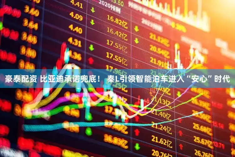 豪泰配资 比亚迪承诺兜底！ 秦L引领智能泊车进入“安心”时代