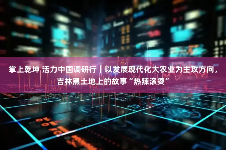 掌上乾坤 活力中国调研行｜以发展现代化大农业为主攻方向，吉林黑土地上的故事“热辣滚烫”